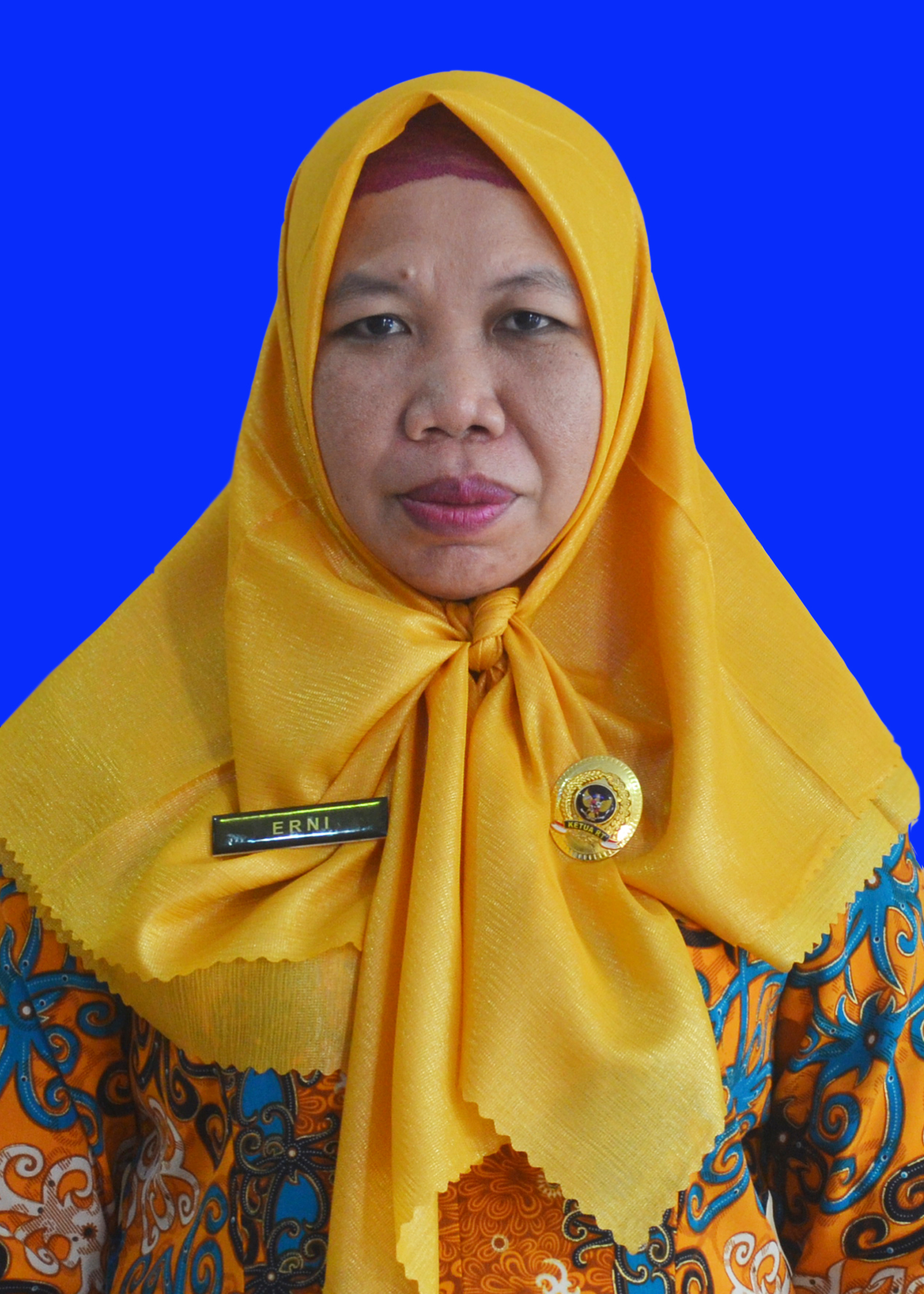 Foto ERNI