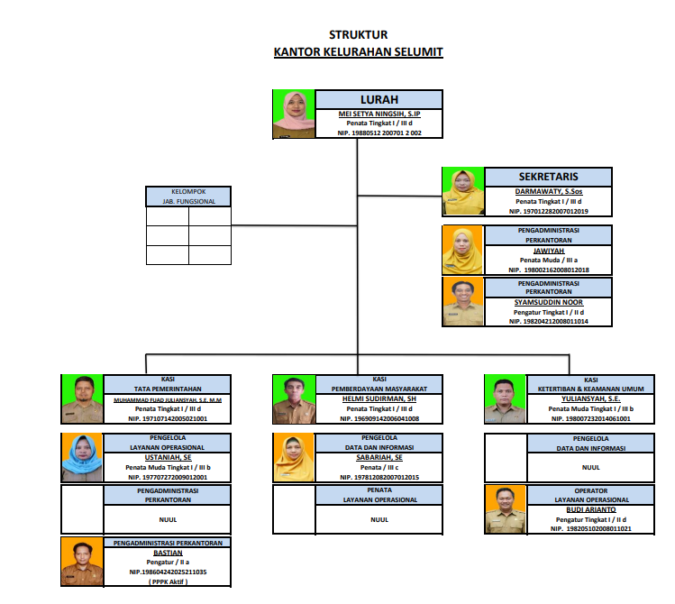 Struktur Organisasi Kelurahan