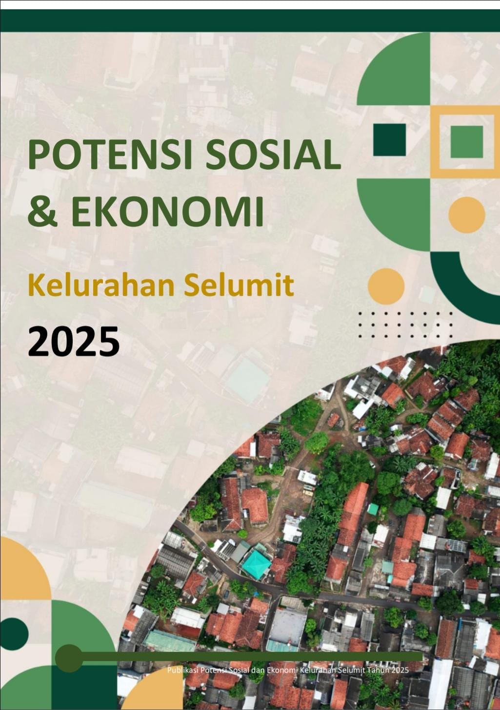 Potensi Sosial dan Ekonomi Kelurahan Selumit tahun 2025